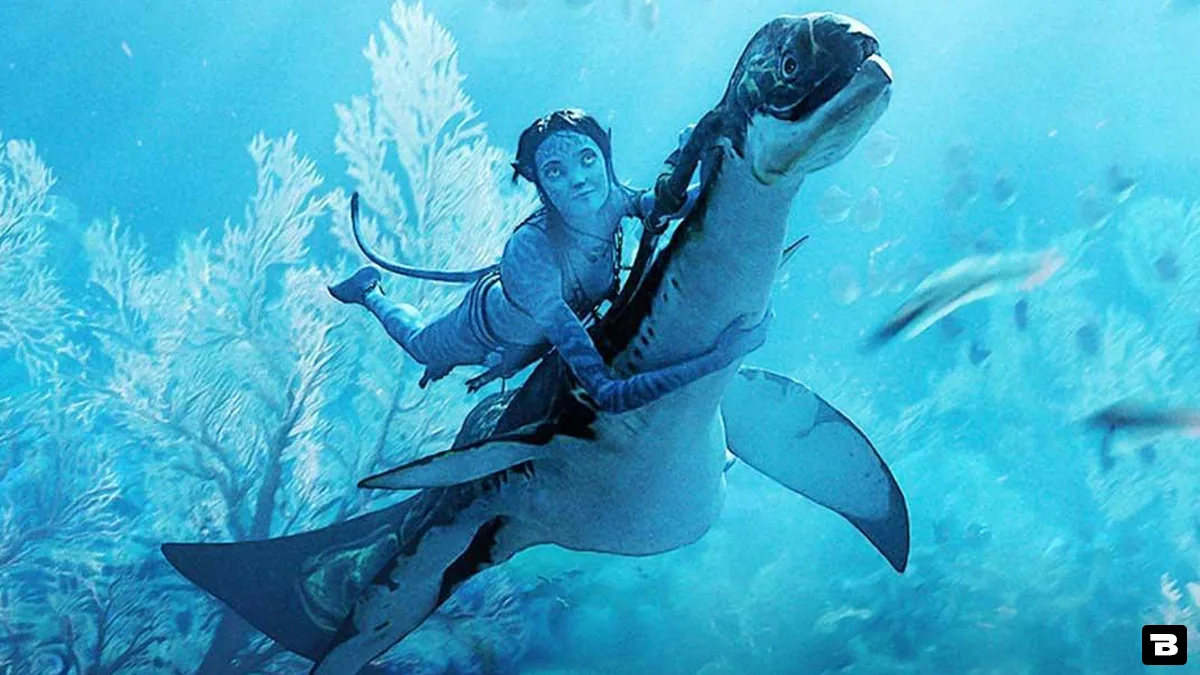 avatar star awareness