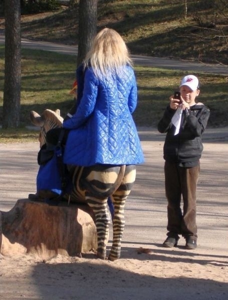 That's not a zebra centaur woman. I think.